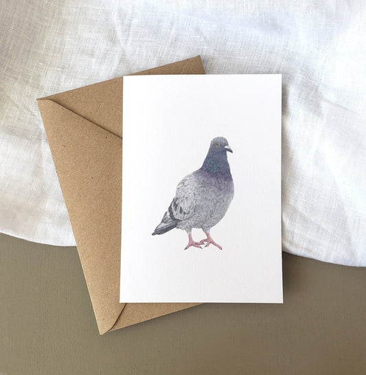 Pigeon Card