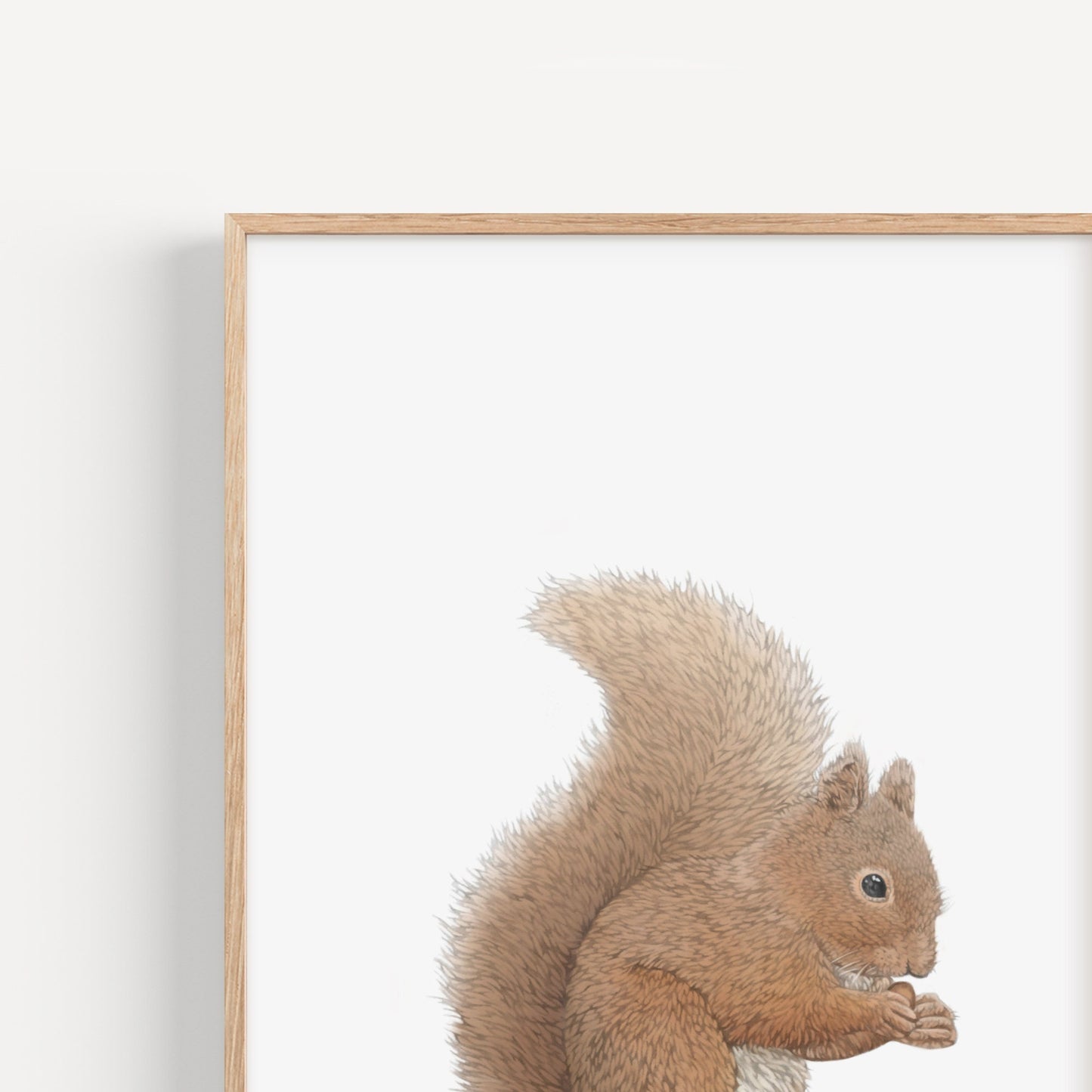 Red Squirrel Print