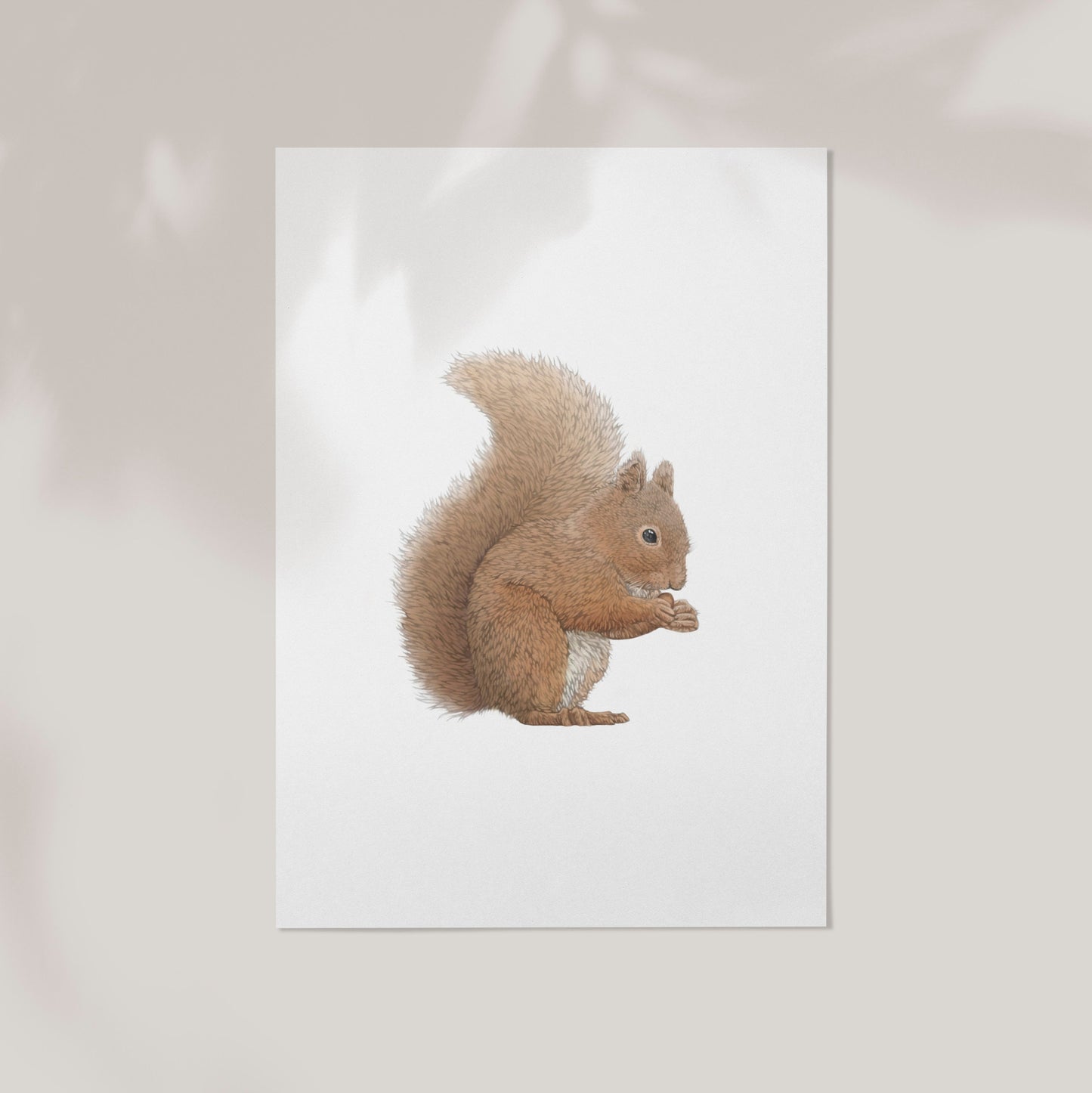 Red Squirrel Print