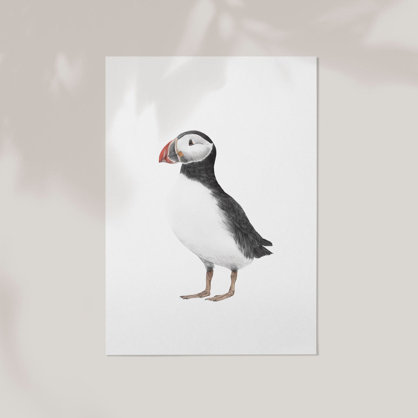 Puffin Print