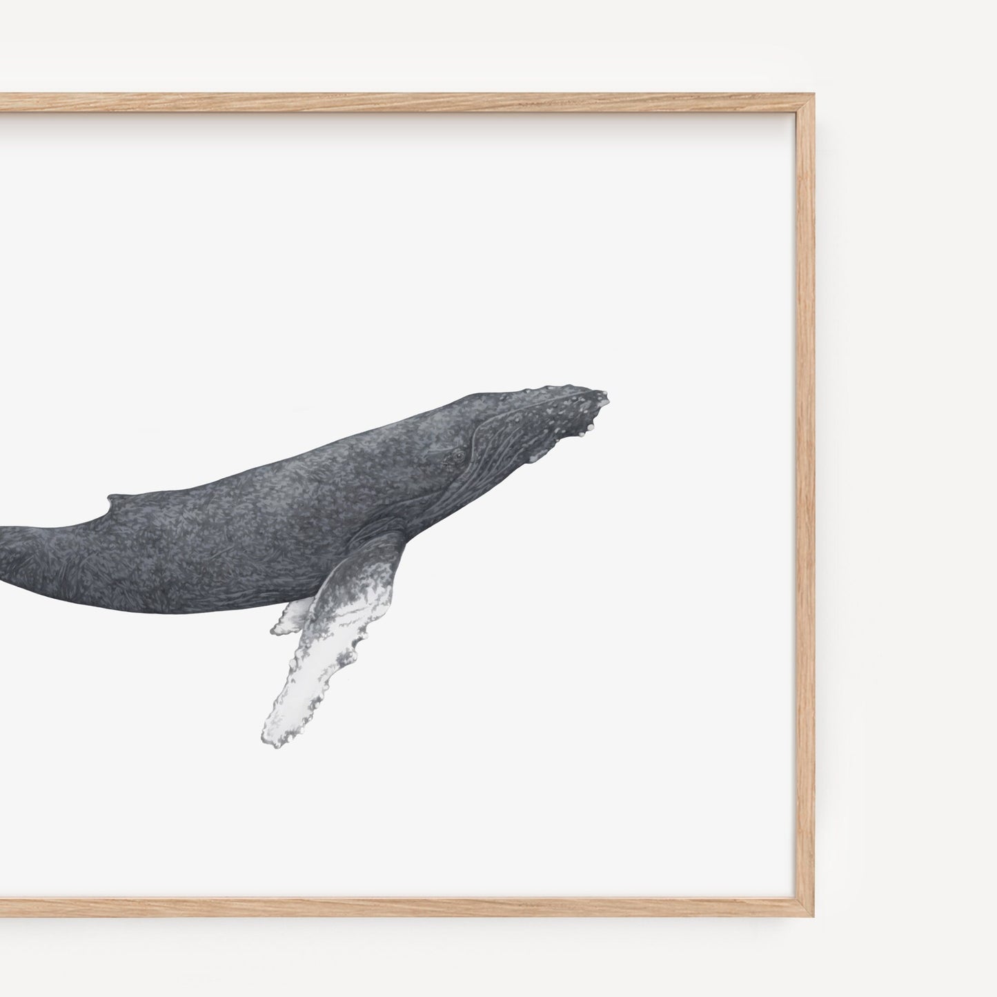 Humpback Whale Print