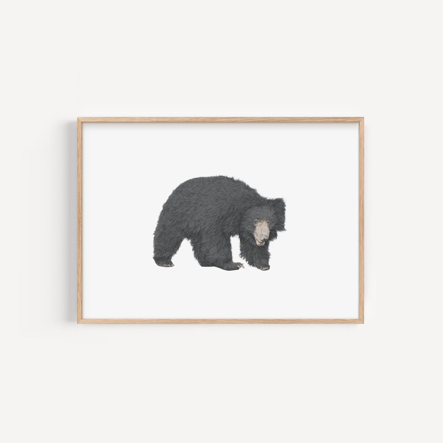 Sloth Bear Print