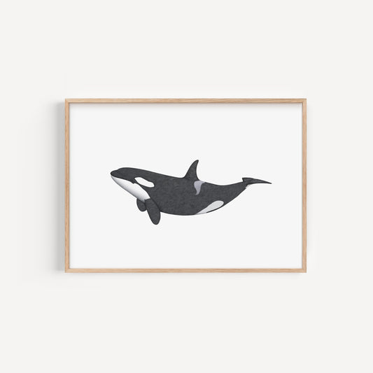 Orca Print