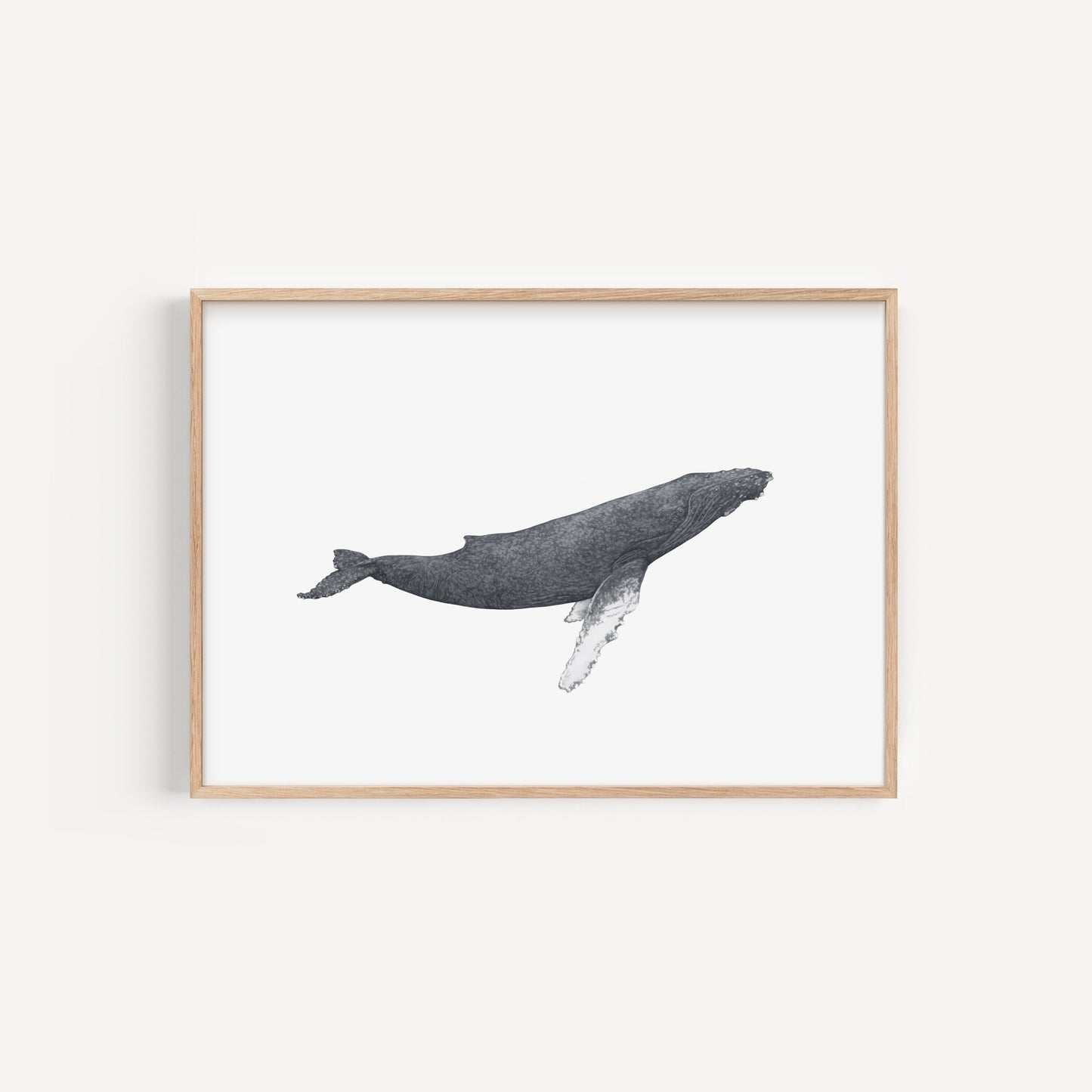 Humpback Whale Print