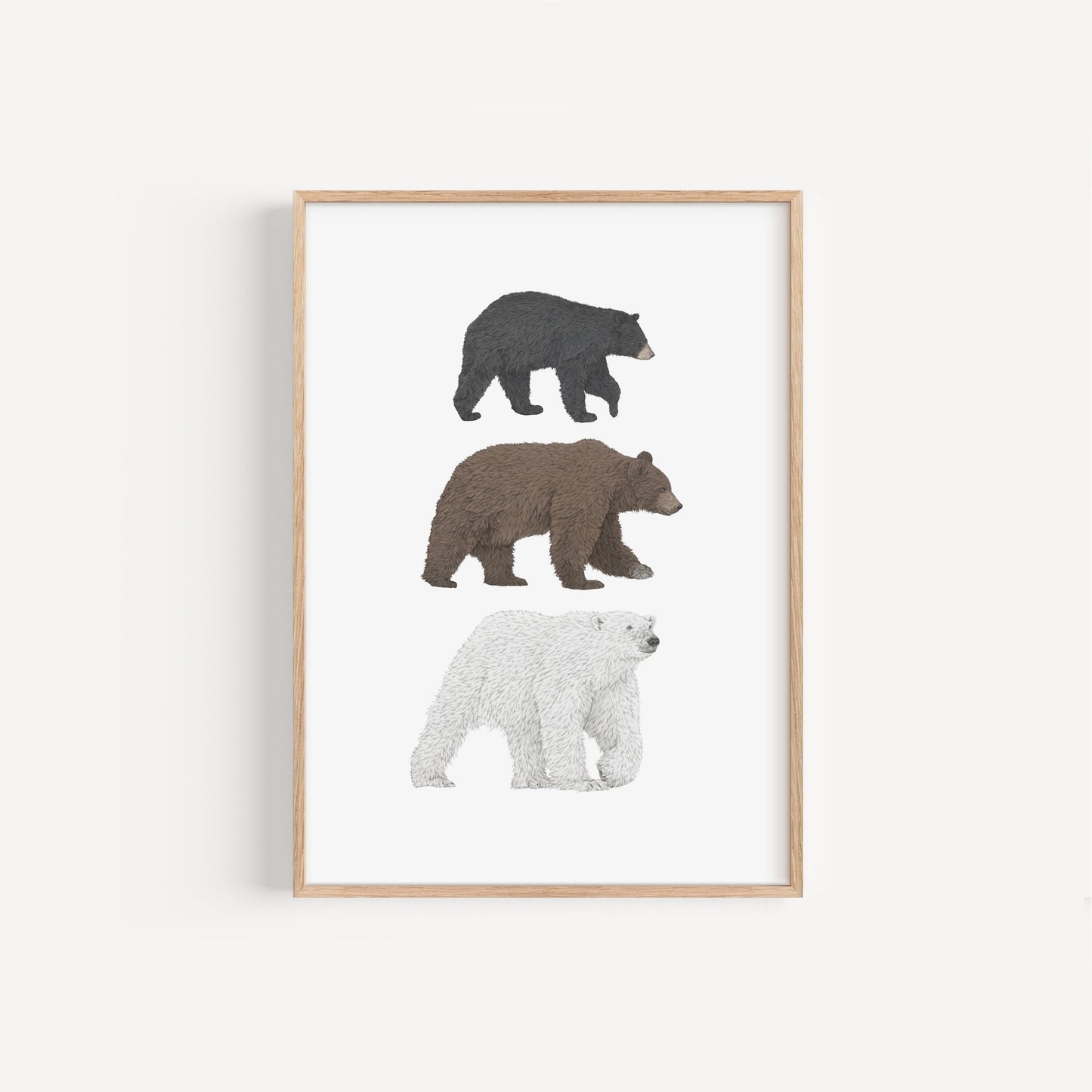 3 Bear Species Print