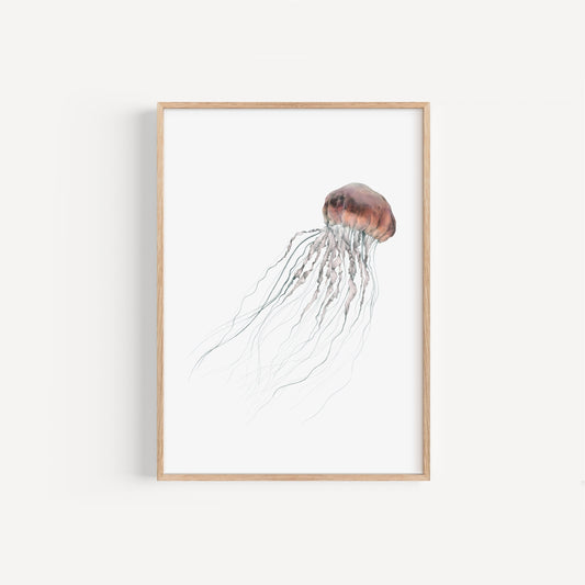 Jellyfish Print