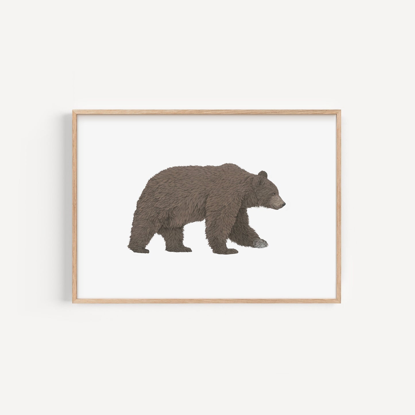 Brown Bear Print