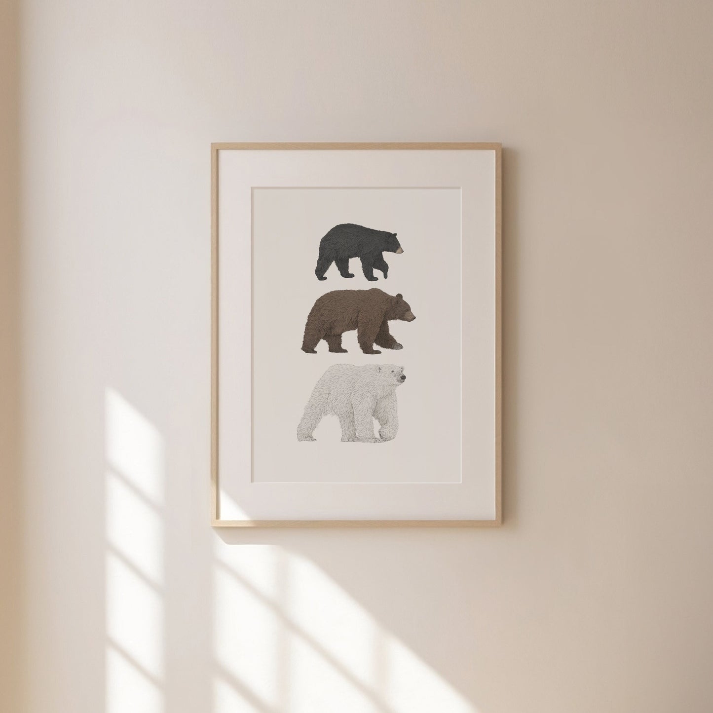 3 Bear Species Print