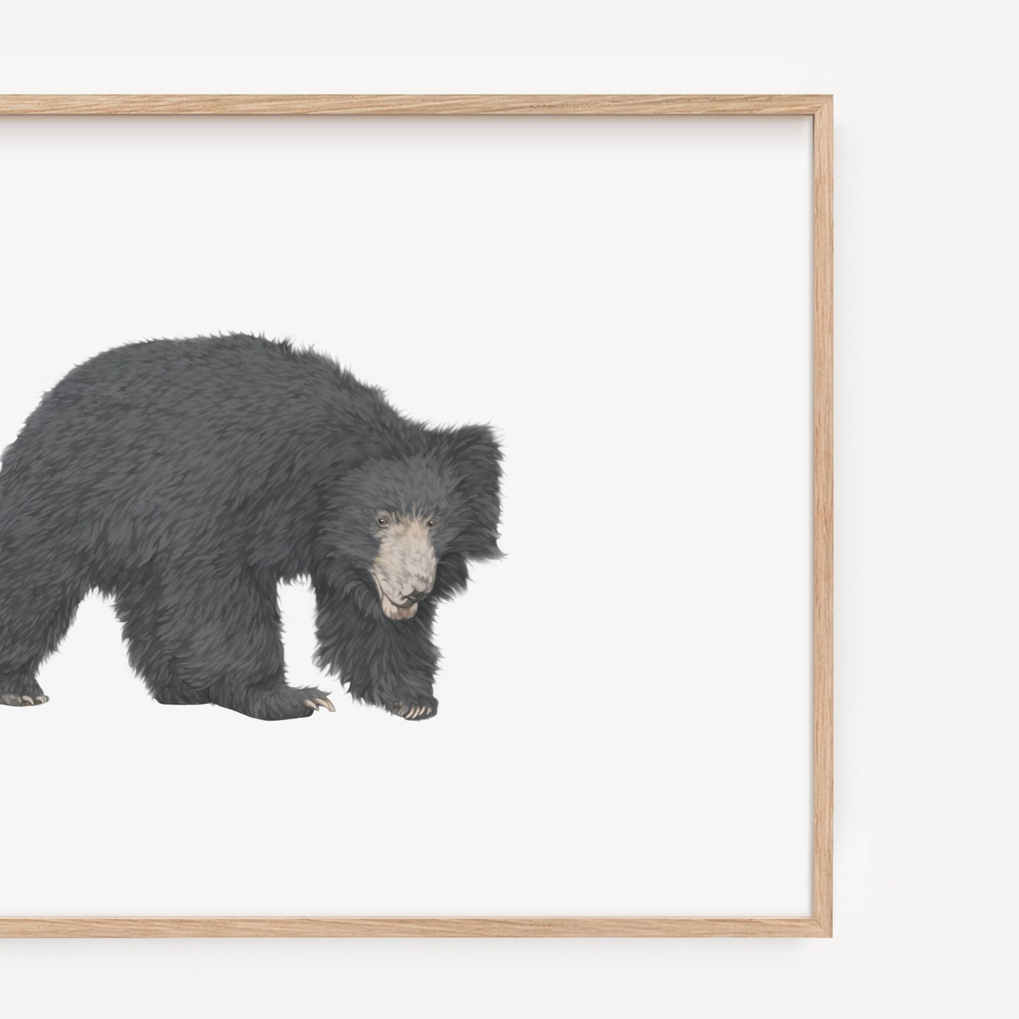 Sloth Bear Print