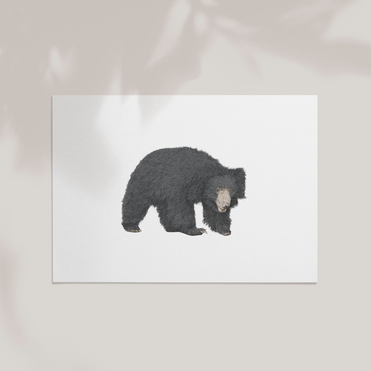 Sloth Bear Print