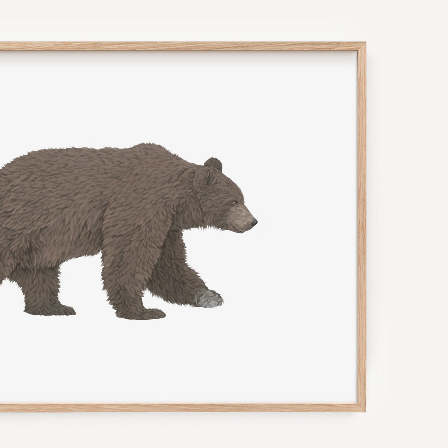 Brown Bear Print