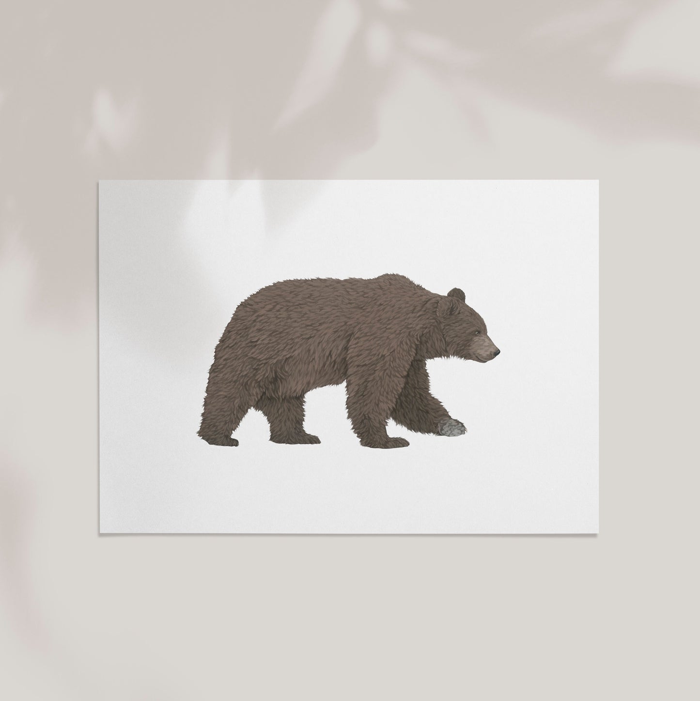 Brown Bear Print