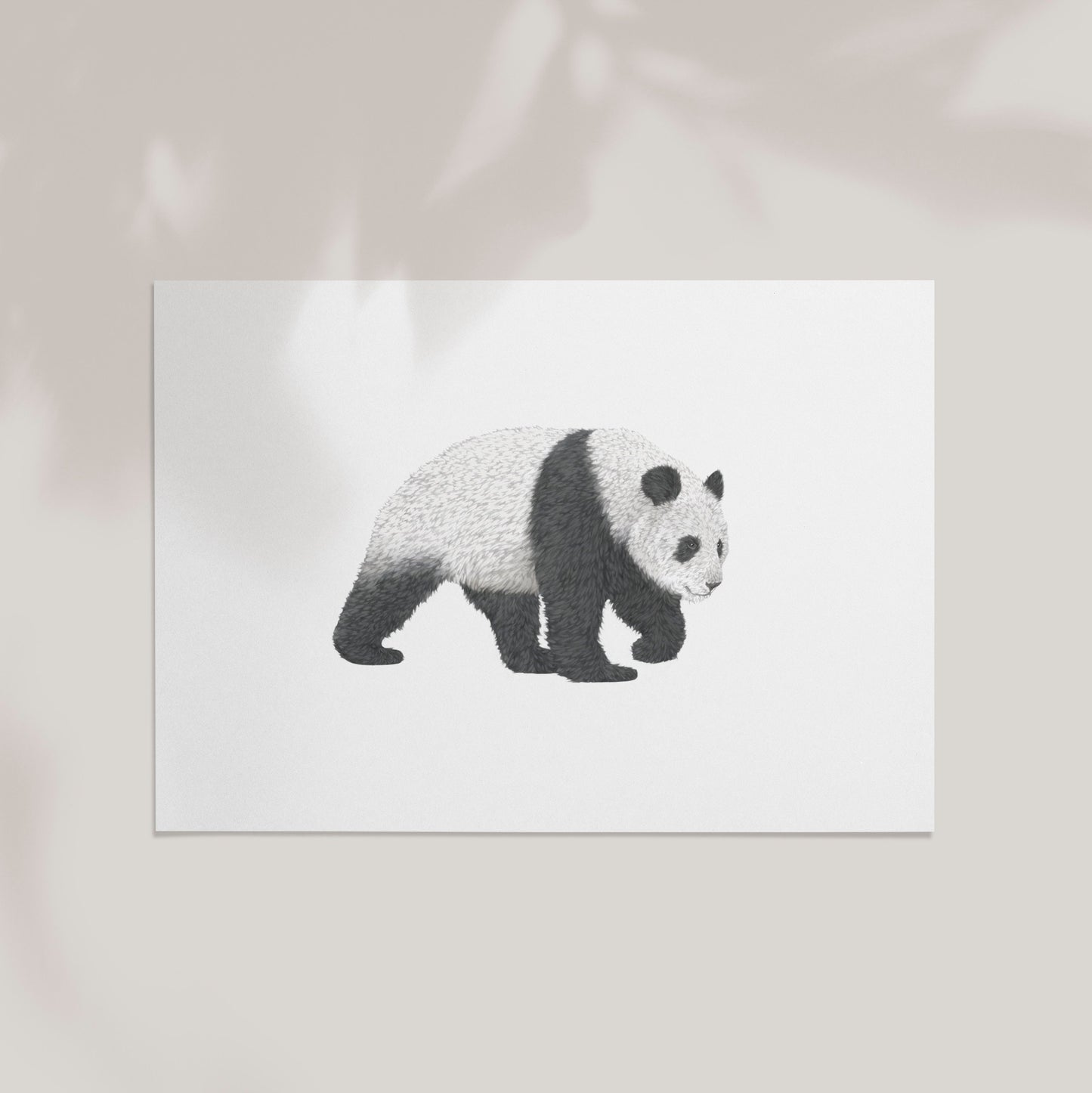 Panda Print