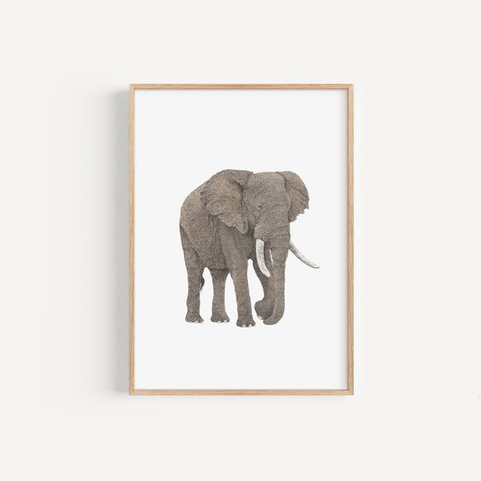 Elephant Print