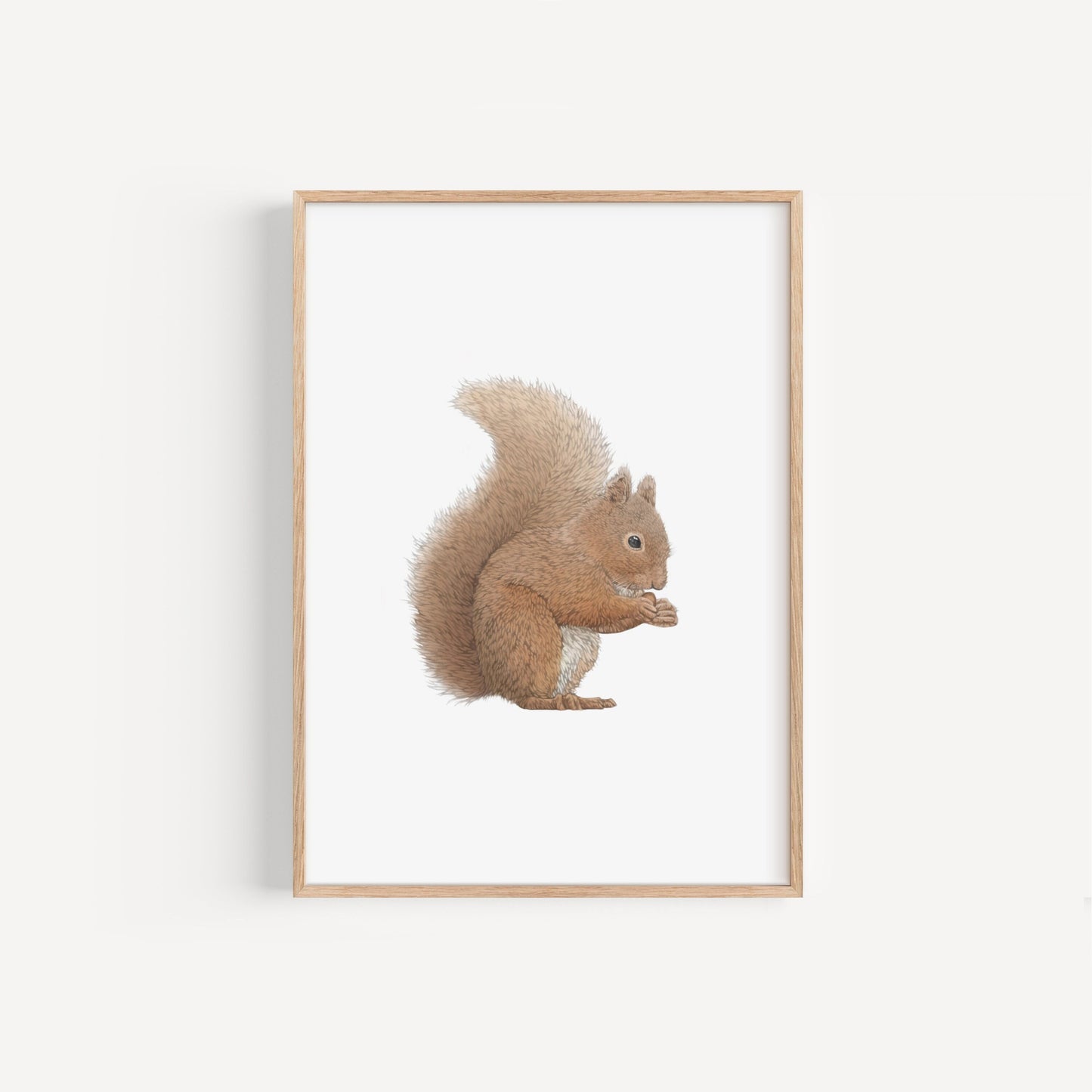 Red Squirrel Print