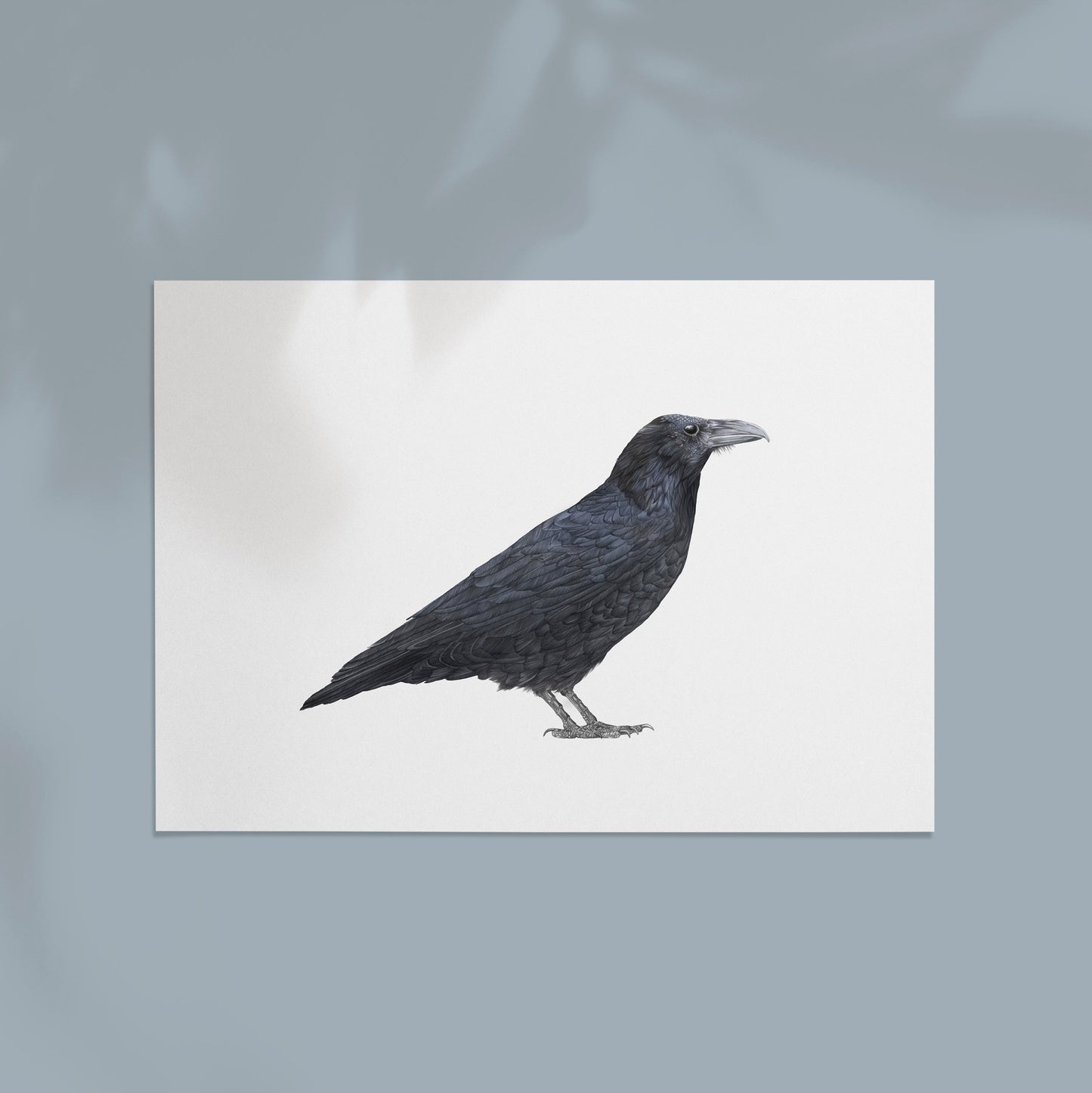 Raven Print