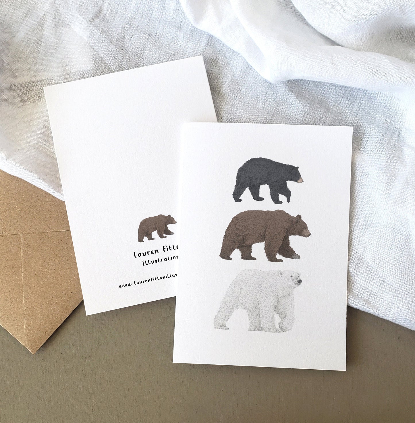 Bear Species Card