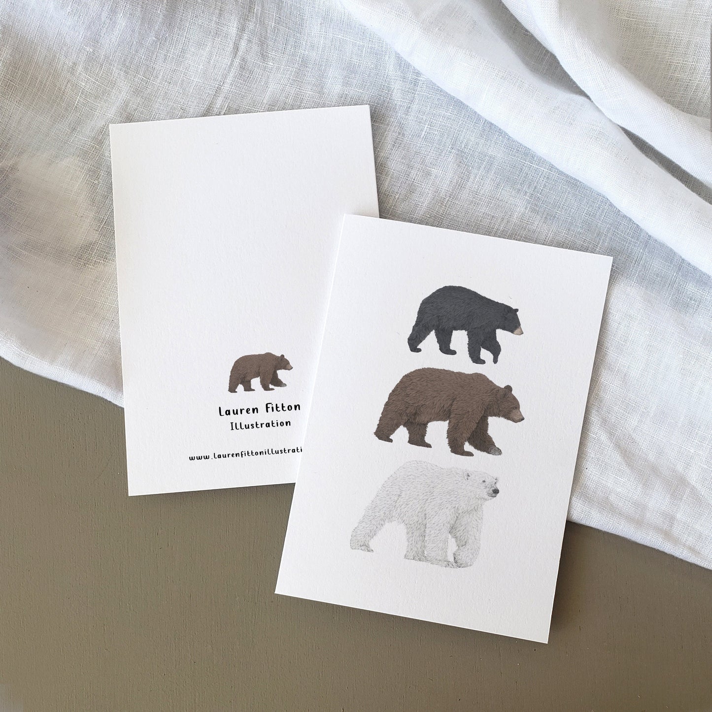 Bear Species Card