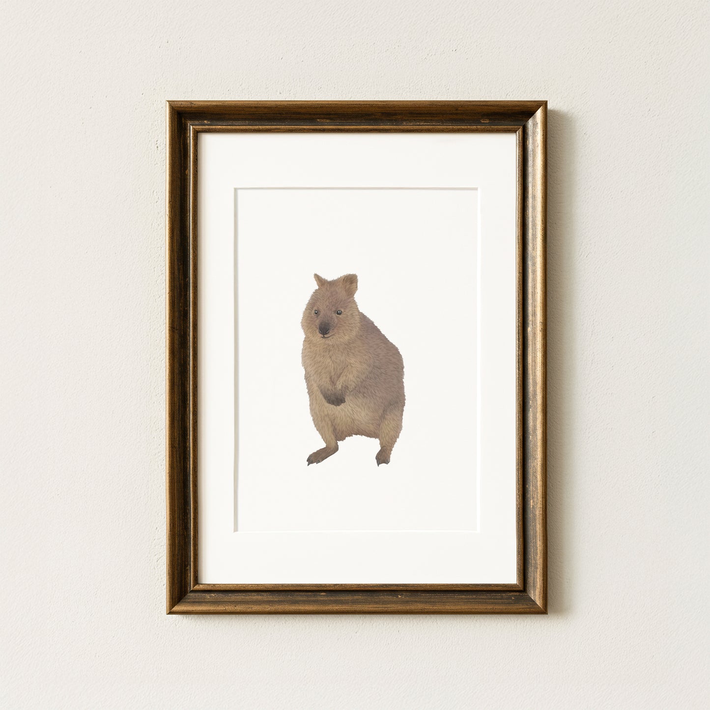 Quokka Print