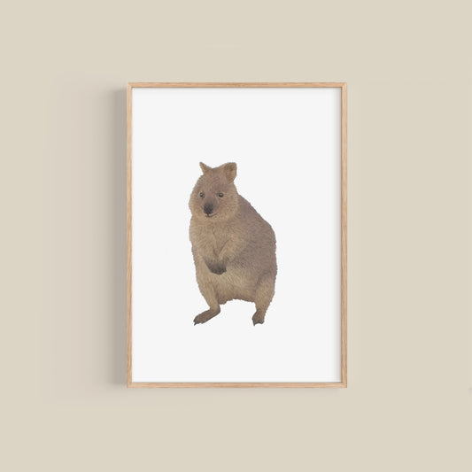 Quokka Print