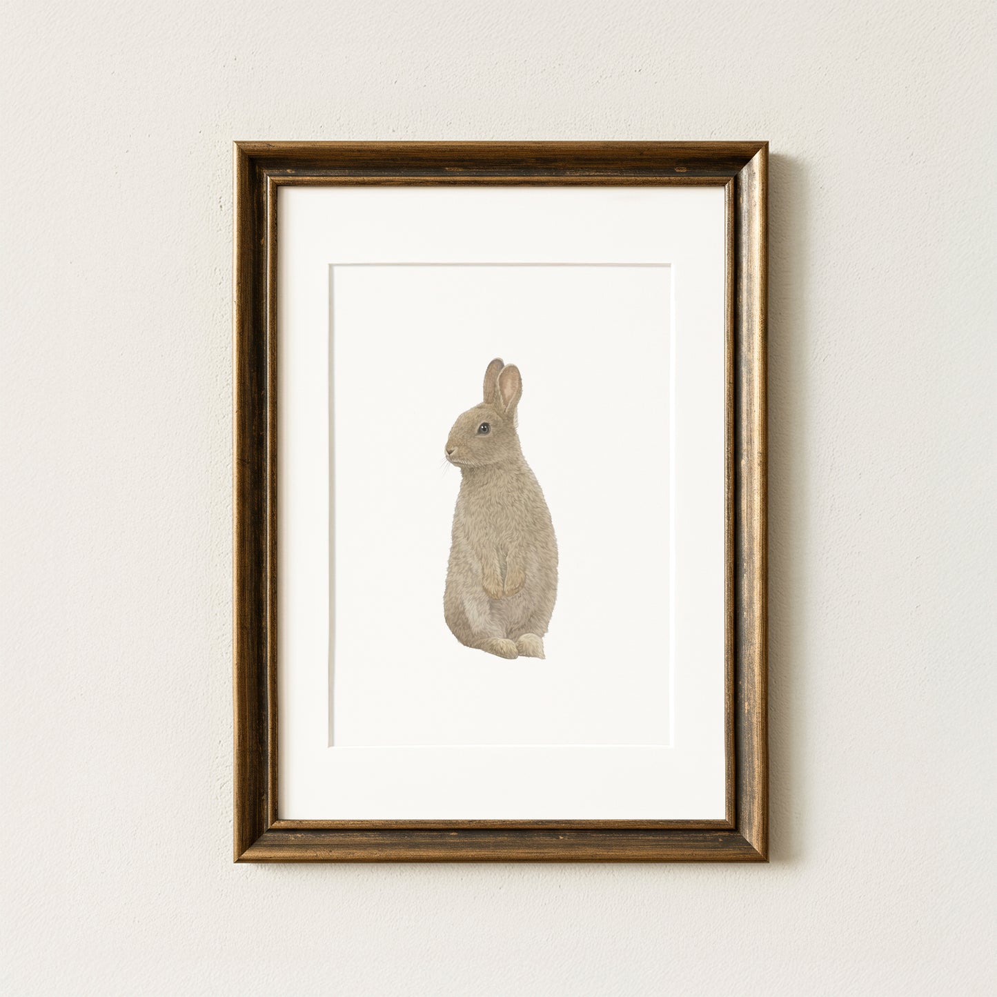 Rabbit Print