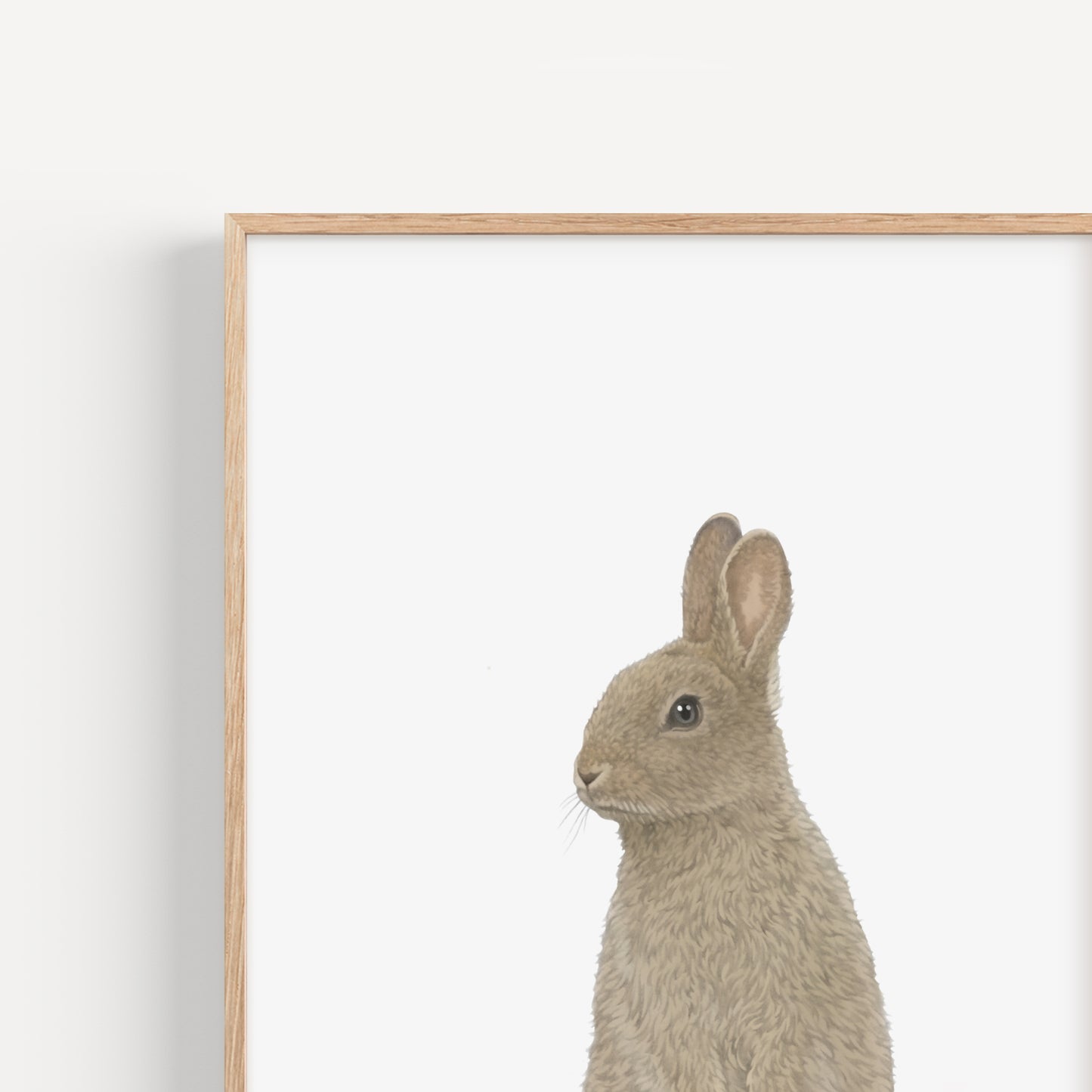 Rabbit Print