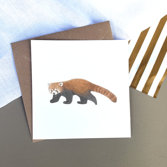 Red Panda Card