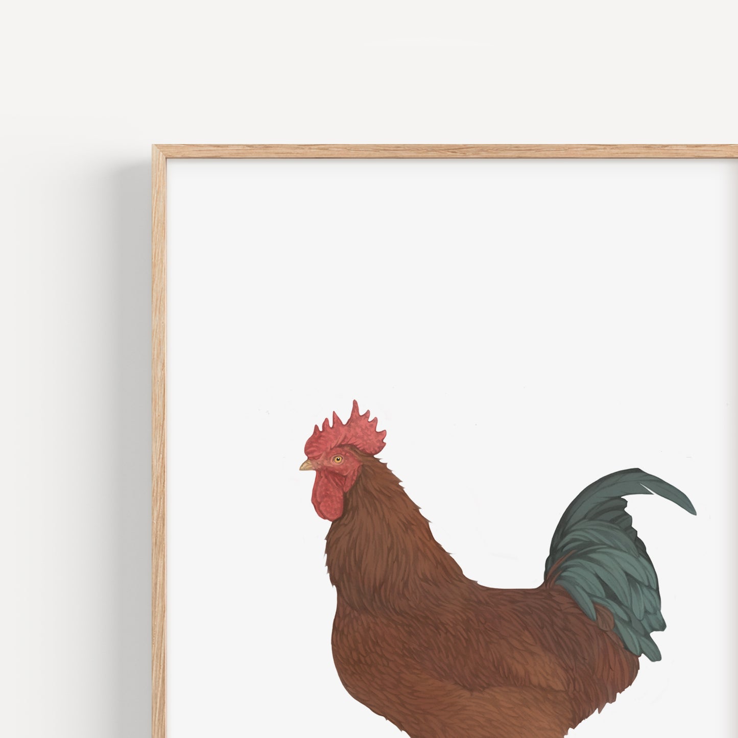 Rooster Print