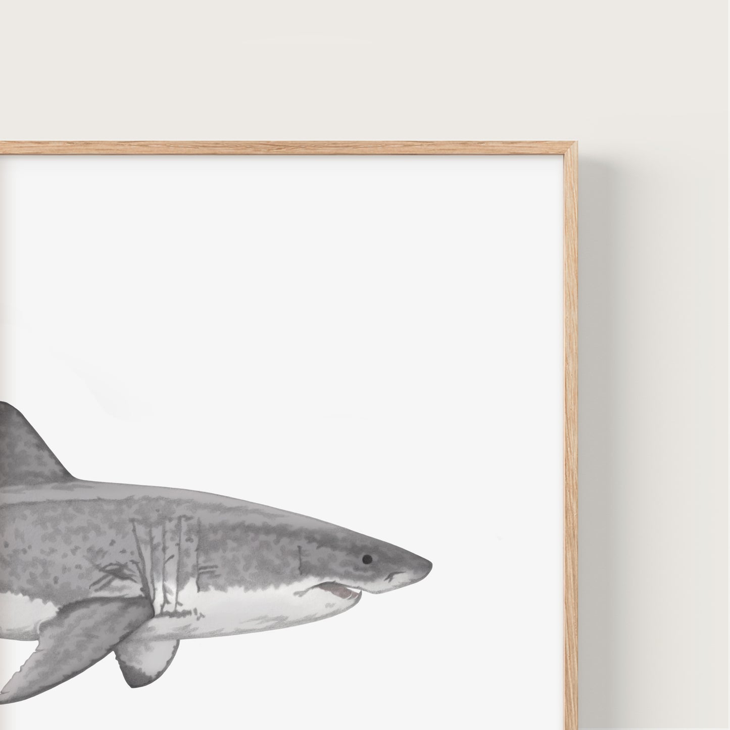 Great White Shark Print