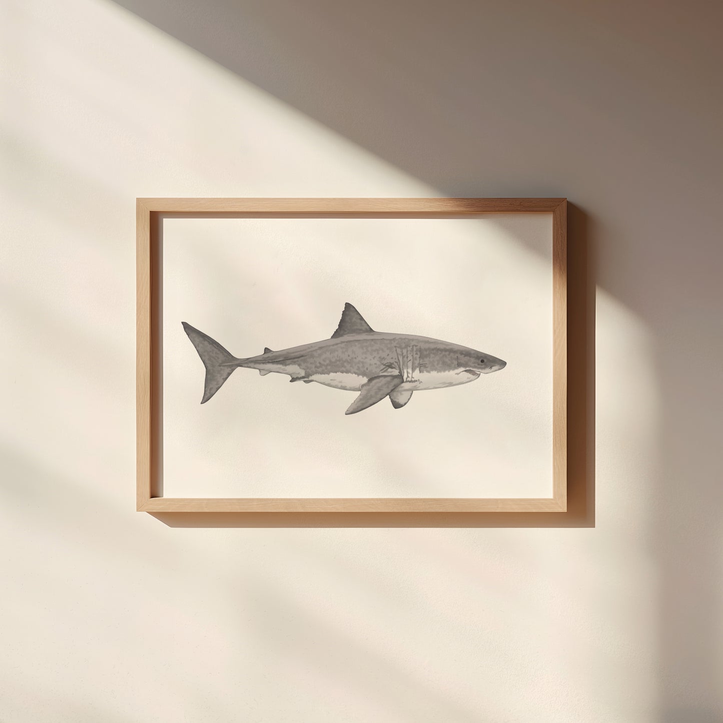 Great White Shark Print