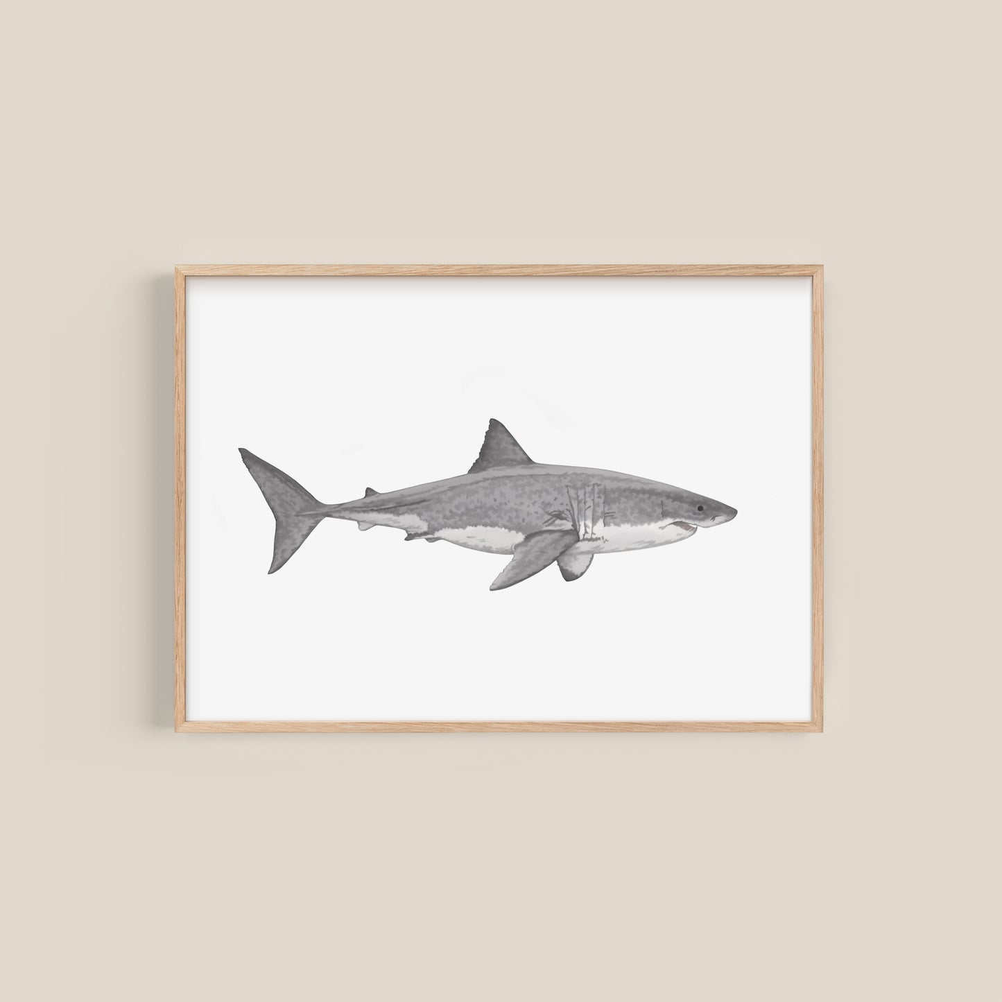 Great White Shark Print