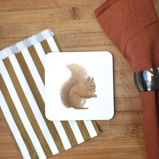Squirrel Coaster