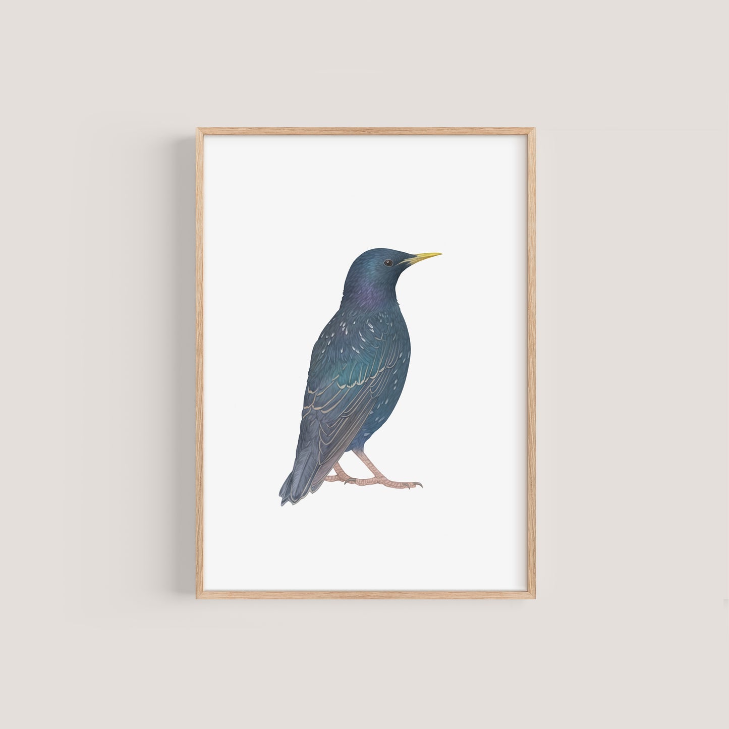 Starling Print
