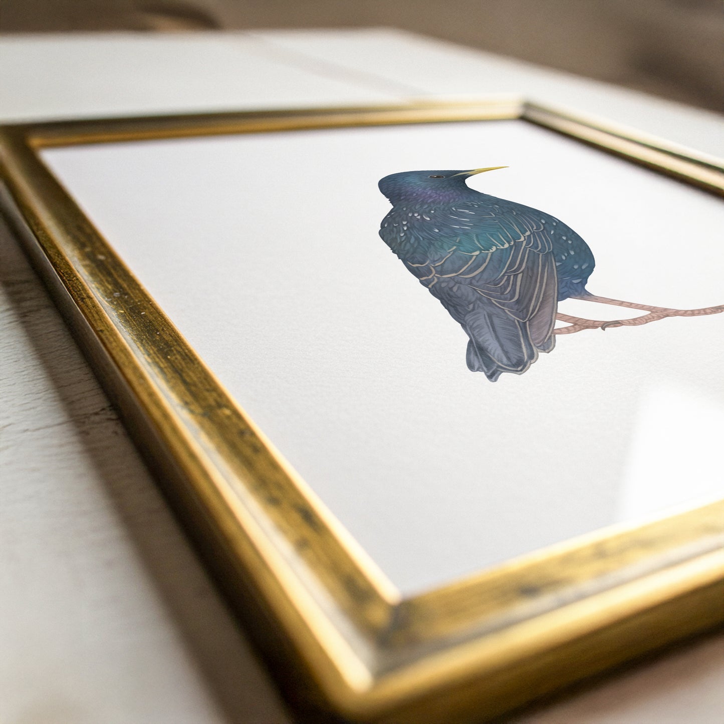 Starling Print