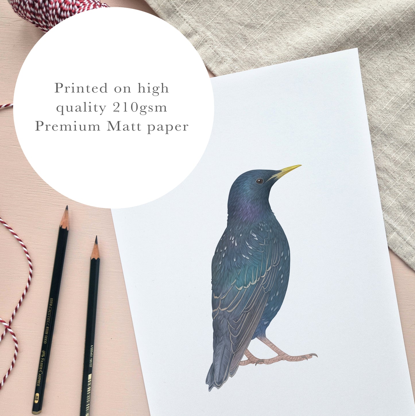 Starling Print