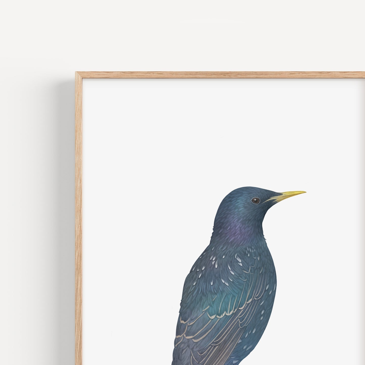 Starling Print