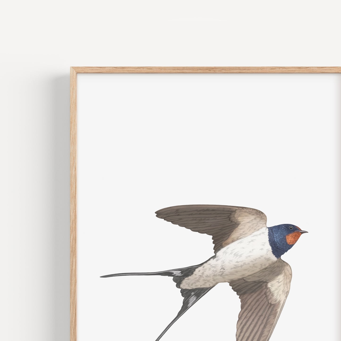 Swallow Print