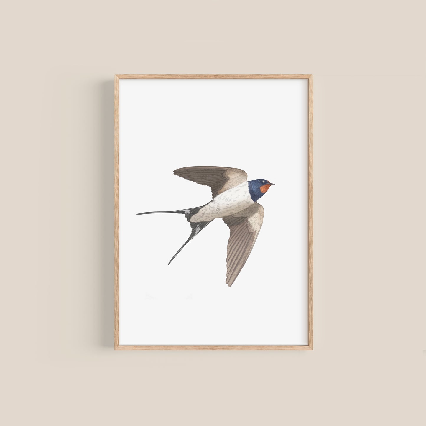 Swallow Print