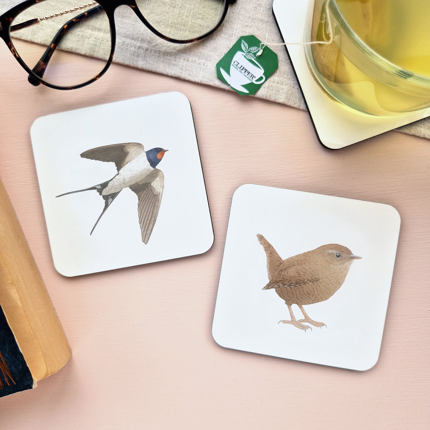 Swallow Coaster
