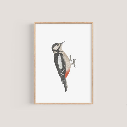 Woodpecker Print