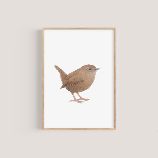 Wren Print